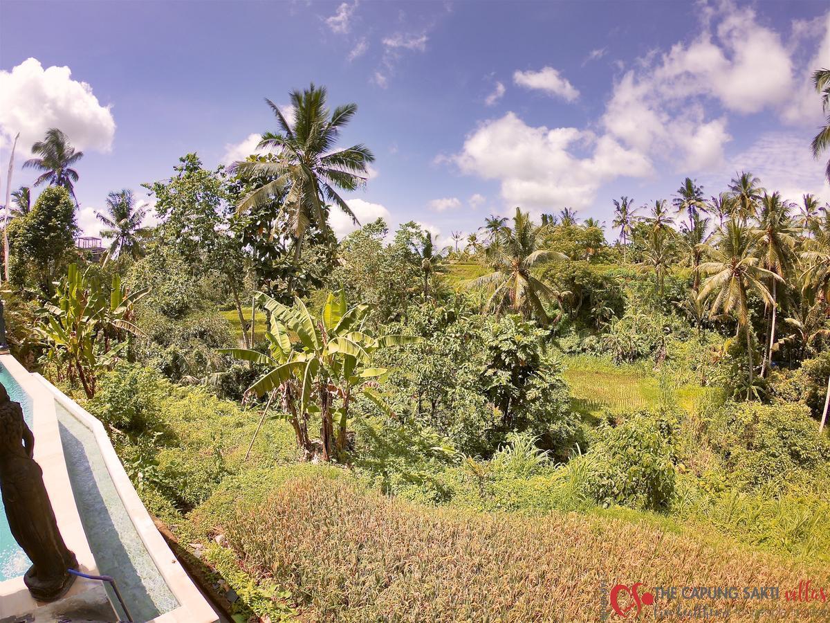 Capung Sakti Villas Ubud Kültér fotó