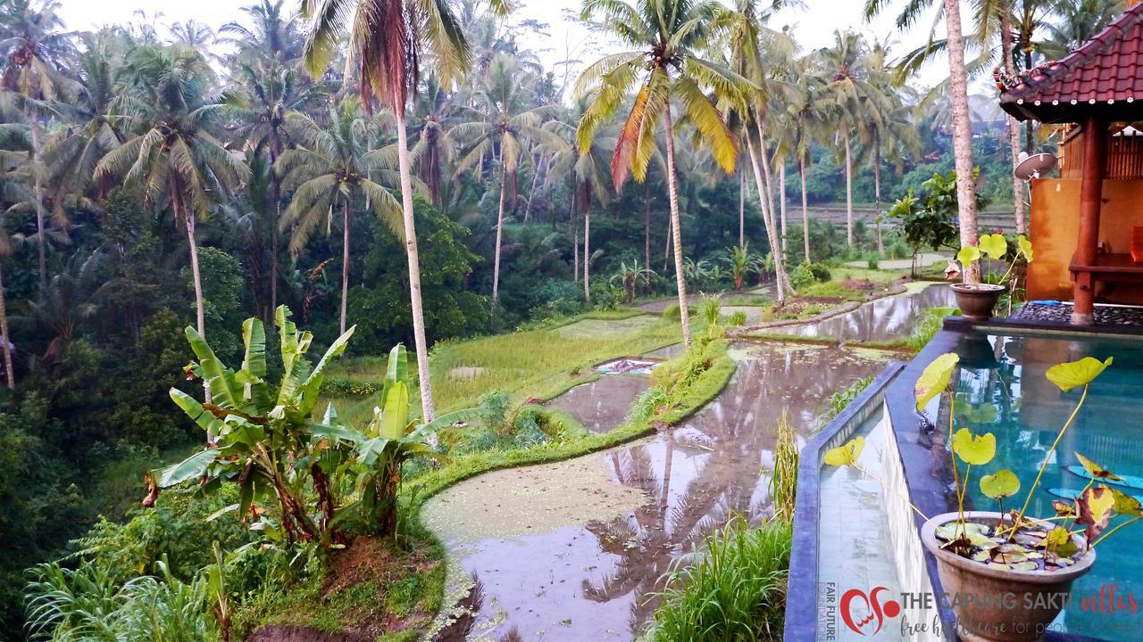 Capung Sakti Villas Ubud Kültér fotó