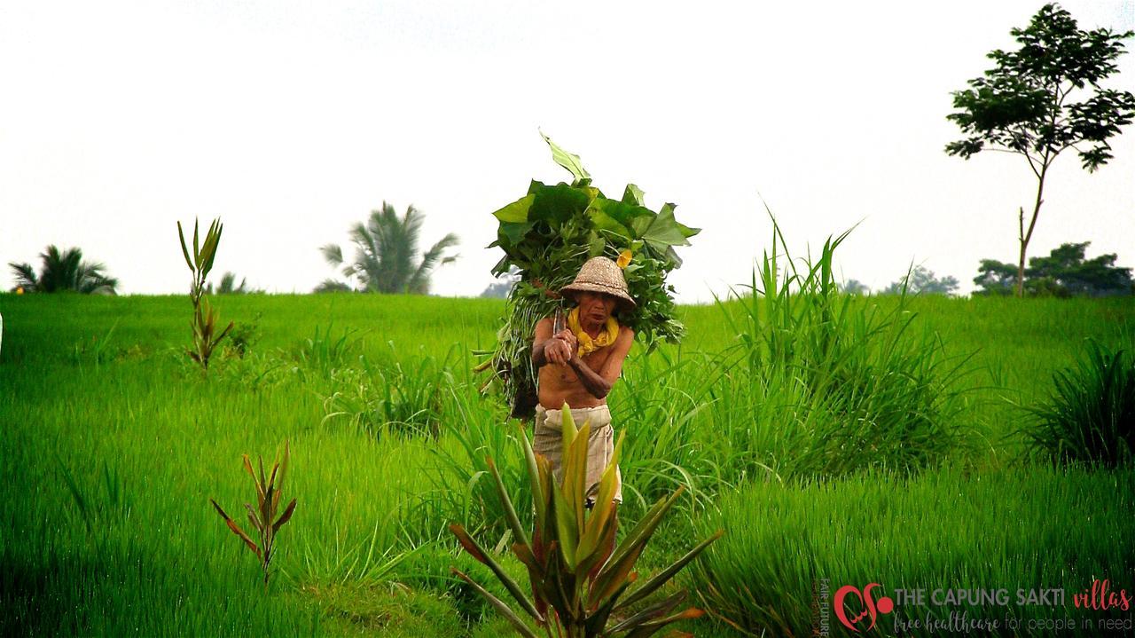 Capung Sakti Villas Ubud Kültér fotó