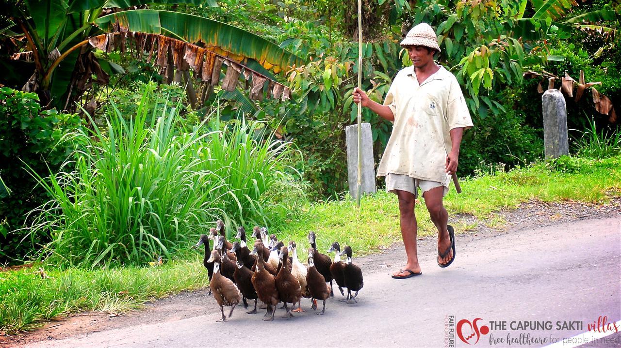 Capung Sakti Villas Ubud Kültér fotó