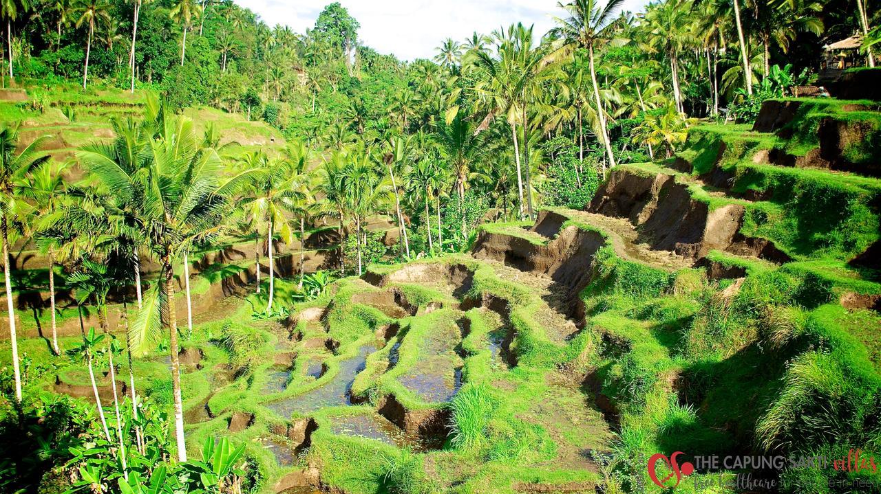 Capung Sakti Villas Ubud Kültér fotó